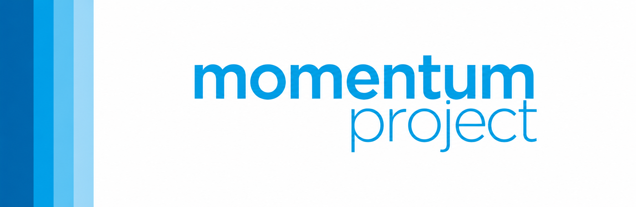 Momentum project